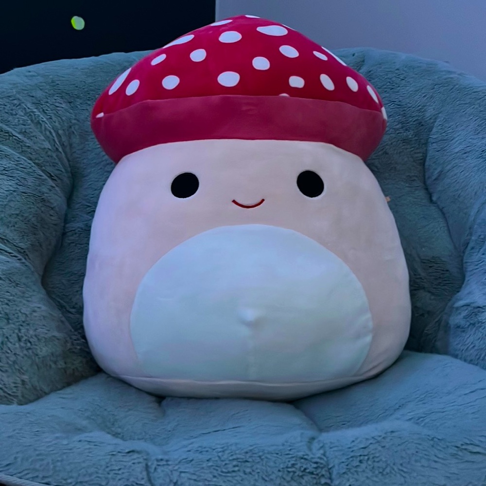 Malcolm 16” squishmallow